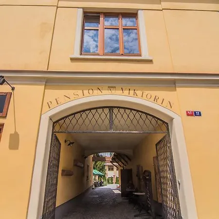 Viktorin Pensión 3*
