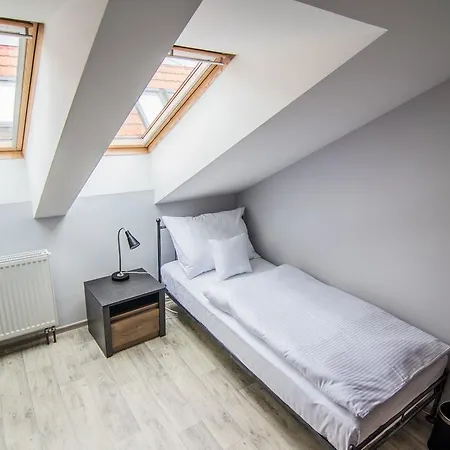Guest house Viktorin 2*