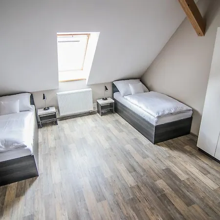 Pensión Viktorin 3*