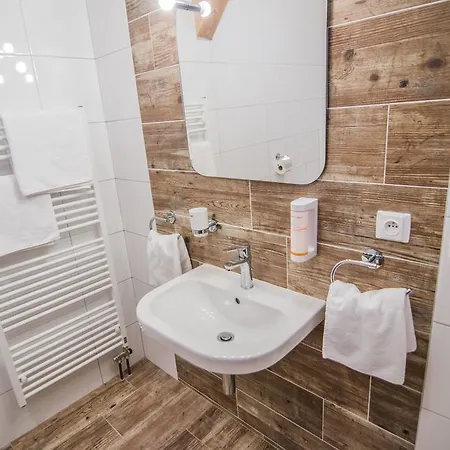 Viktorin Guest house 2*