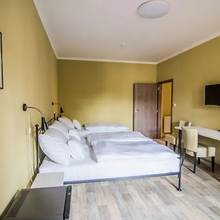 Guest house Viktorin 2*