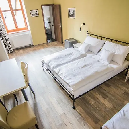 Viktorin Guest house 2*