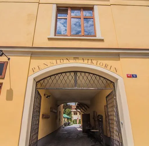 Viktorin Penzion 3*